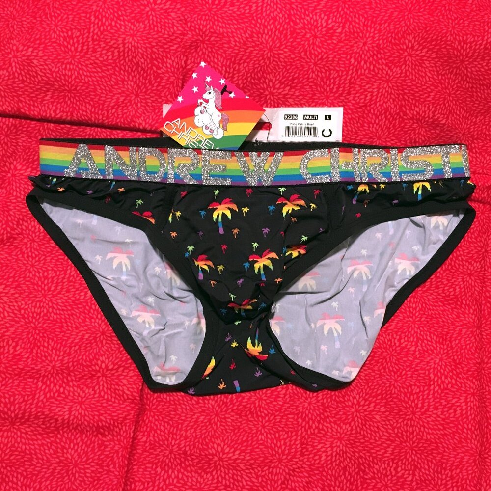 Andrew Christian Pride Palms Brief Size LARGE 🆕🩲🌟